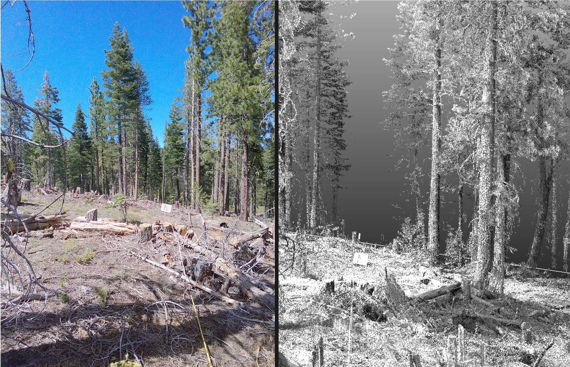 Before and after burn